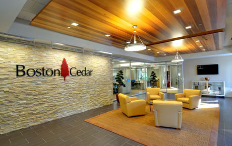 Boston Cedar Office Renovation