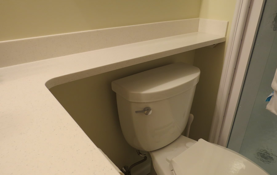 Fox Hill Village Bathroom Remodel