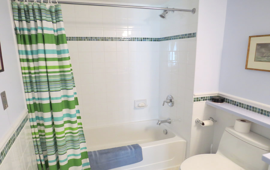 Fox Hill Village Bathroom Remodel
