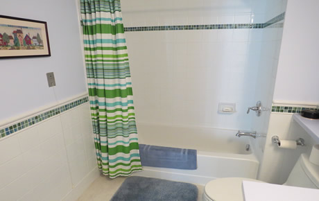 Fox Hill Village Bathroom Remodel