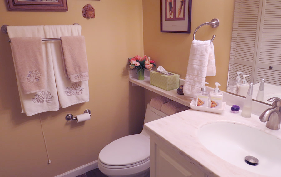 Fox Hill Village Bathroom Remodel